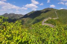 Daxing Airport Pick-up or Drop-off+Mutianyu Great Wall Tour