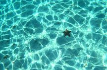 El Cielo and Snorkeling for Cruise Ship Passengers