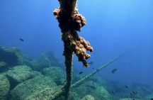 Diving Christening Cambrils