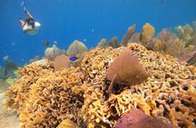 El Cielo and Snorkeling for Cruise Ship Passengers