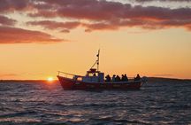 Sundown Cruise Around the Island of Ireland's Eye from Howth 