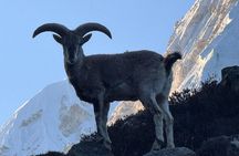 Mt. Kanchenjunga South to North Base Camp Trekking