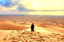 Dubai Desert Safari with Premium Camp