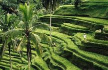 Private Ubud Tour