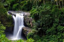 Private Ubud Tour