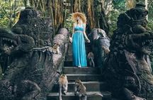 Private Ubud Tour