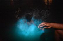 Magical Night time Experience Luminous Lagoon Tour