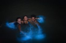 Magical Night time Experience Luminous Lagoon Tour