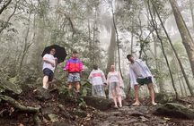 Tijuca Forest Tour: Waterfalls and Cave