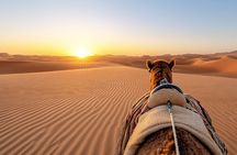 Red Dunes Morning Safari: Dune Bashing, Camel Ride & Quad Biking