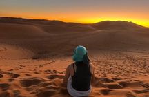 8 Days Tour from Casablanca to Chefchaouen Via Fes & Merzouga