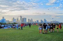 Singapore Garden City Experiences with Stunning Parks Views