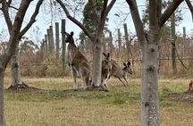 Sydney: Private Wine tour - Hunter Valley & Wollombi Valley