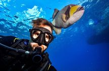 Scuba Diving Boat for Beginner or Professional & Lunch - Hurghada