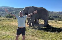 2 Day Greater Addo Ultimate Safari 