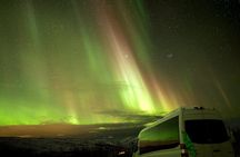 Northern Lights Tour with Local Guide and Photos