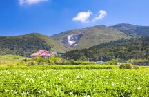 Yangmingshan, Beitou, Qingtiangang Tour