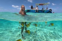 Exceptional Half day on the turquoise lagoon of Bora Bora