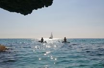 SUP Adventure in Crystal Waters Fun for All Ages