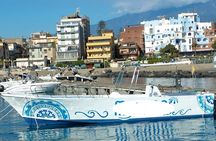 Excursions by boat: Gardens Naxos-Taormina-Isola Bella-DELFINI