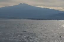 Excursions by boat: Gardens Naxos-Taormina-Isola Bella-DELFINI