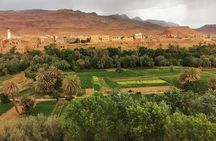 4-Day Sahara & Palm Oasis Adventure: Marrakech to Merzouga