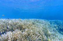 7 Secret Gilis: Private Snorkeling Escape to Hidden Paradise