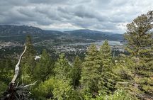 Explore Estes Park E Bike Guided Tour 