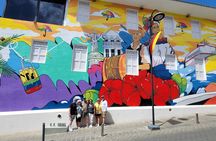 Puerto Plata City Tour VIP (Private and Customizable)
