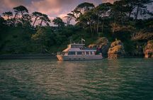Raglan Scenic Nature Boat Cruise