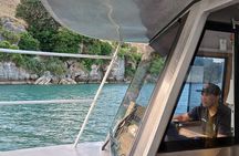 Raglan Scenic Nature Boat Cruise