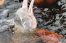 Manaus City Tour with Boat Ride