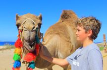 Beach Camel Ride & Sky Bike in Cabo by Cactus Tours Park