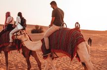 Dubai Desert Escape: Red Dunes Safari, Falcon, Camel & BBQ Dinner