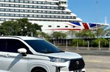 Ubud Private Tour From Cruise Port Benoa Bali All Inclusive