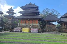 Ubud Private Tour From Cruise Port Benoa Bali All Inclusive