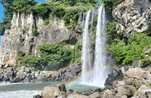Private Half Day Tour West and South in jeju island