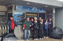 Private Half Day Tour West and South in jeju island