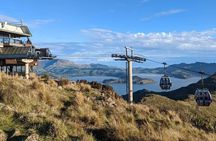 Christchurch City Full Day Tour