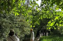 15 Day Cultural Tour from Casablanca to Marrakech