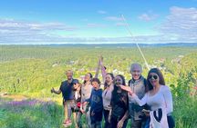 Oslo: Scenic Forest Hike with Dog & Local Guide