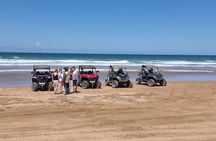 Buggy Beach Adventure from Agadir or Taghazout