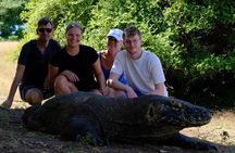 2 Days Tour to explore Labuan Bajo and Komodo Island