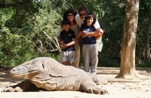 2 Days Tour to explore Labuan Bajo and Komodo Island
