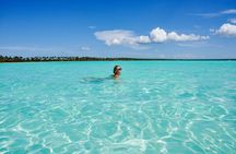 Punta Cana Saona Island Half Day Eco Tour in Small Group