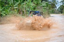 Small group buggy tour typical casa beach and cave