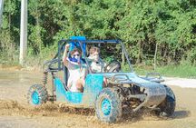 Small group buggy tour typical casa beach and cave