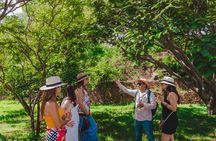 Essence Zapoteca Monte Albán, Barro Negro and Alebrijes for a day.