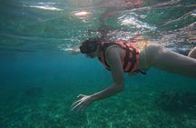 Snorkel at the Reef 2 HOURS Puerto Morelos National park