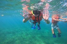 Snorkel at the Reef 2 HOURS Puerto Morelos National park